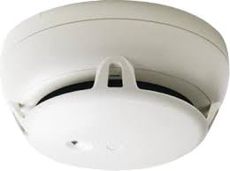 pdf-icon
