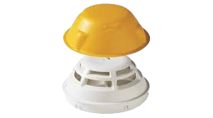 pdf-icon